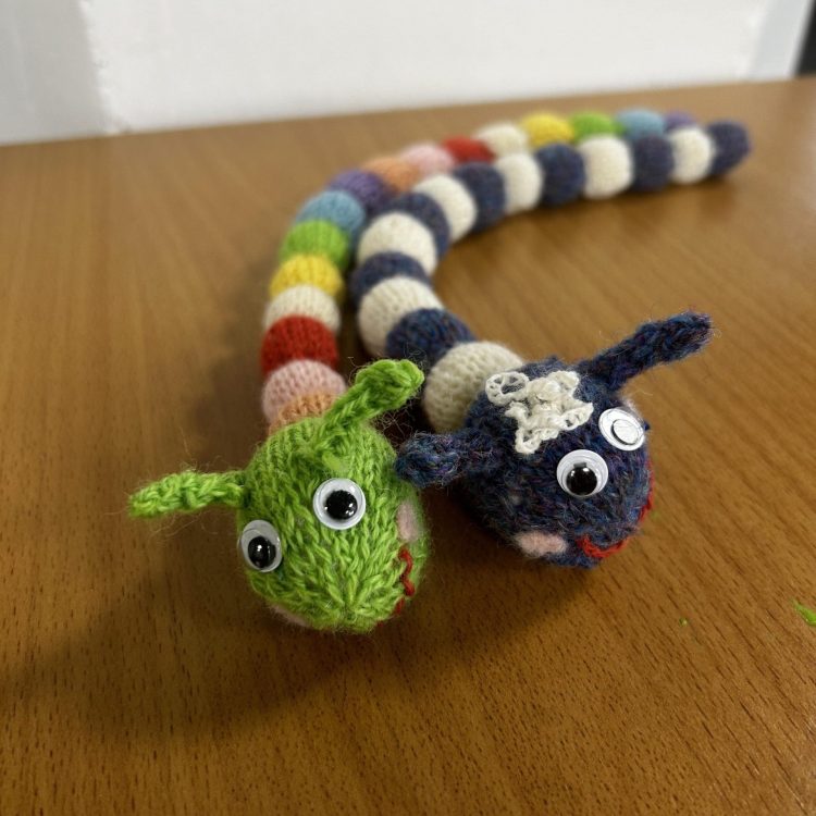 One rainbow snake and one black and white snake crocheted by Sunderland Mind Fabric Creations member