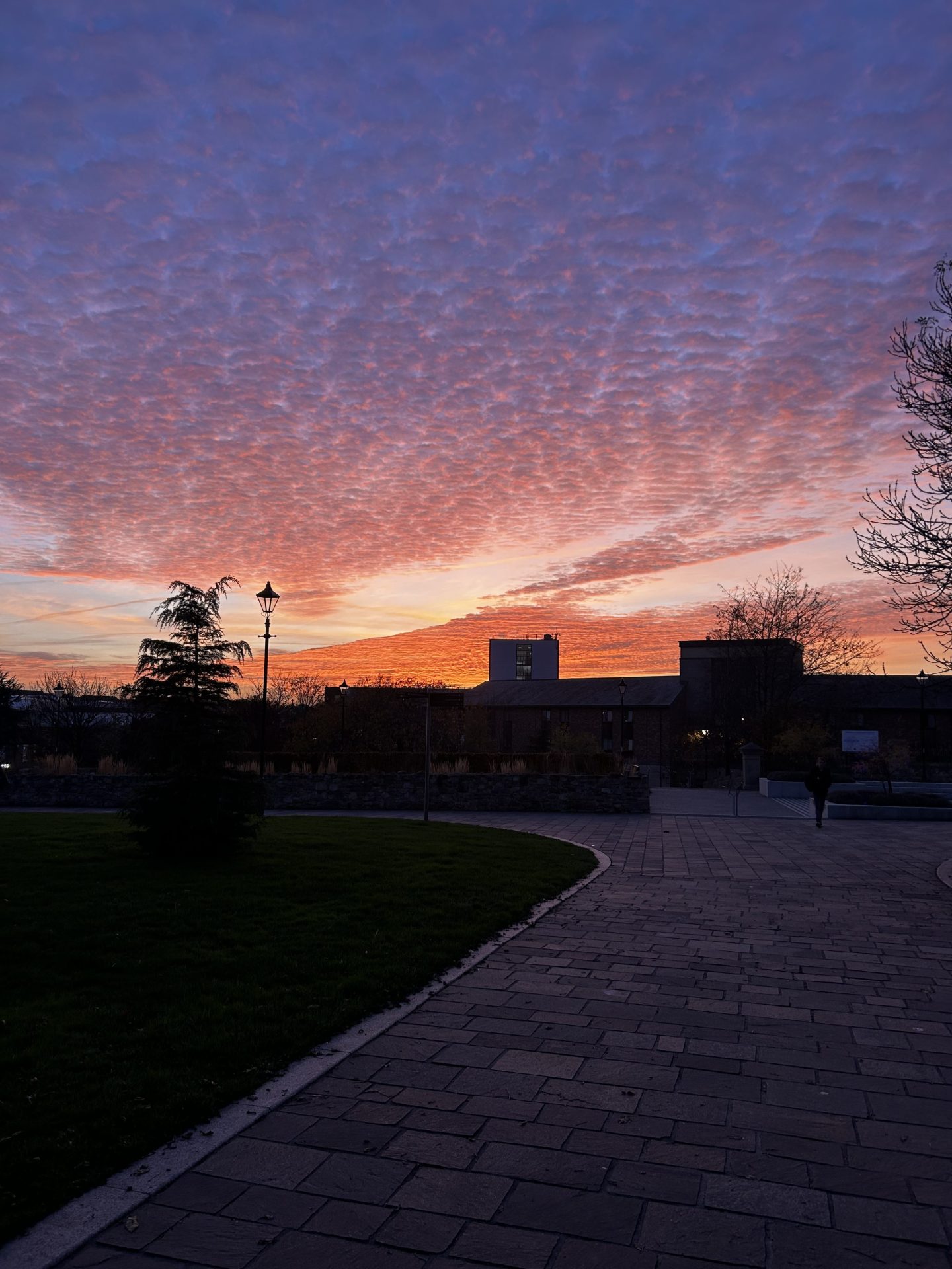pink and blue sunset
