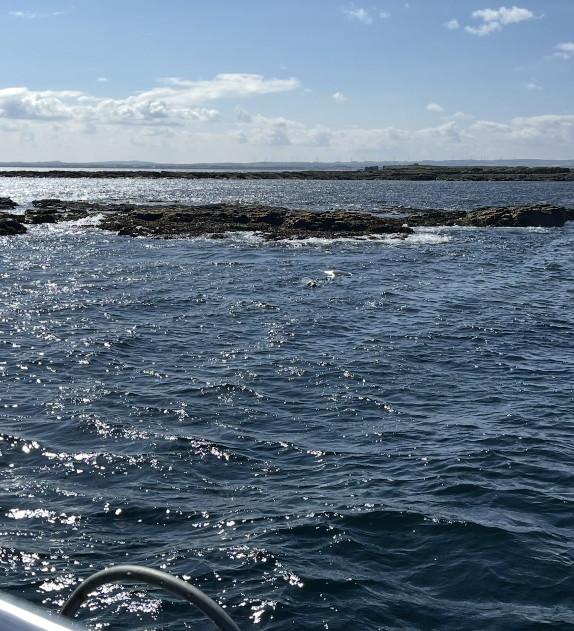 Sea