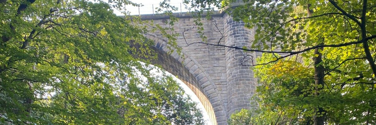 Stone arch surrounded by trees