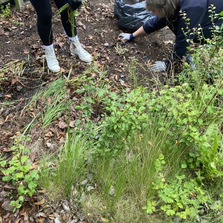 Wellbeing Wednesday members gardening