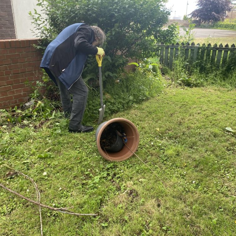 Wellbeing Wednesday members gardening